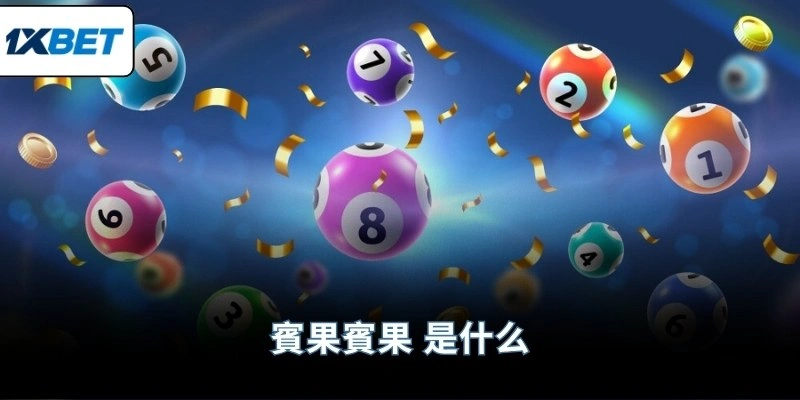 賓果賓果 是什么